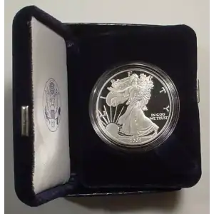 2004 W 1oz Silver Eagle  Proof - with Original Govt Packaging  (2)