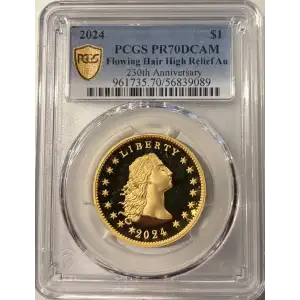 2024 $1 Flowing Hair High Relief Au 230th Anniversary, DCAM (2)