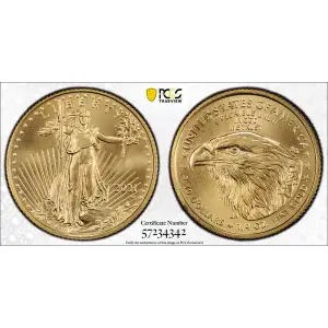 2021-W $10 Gold Eagle - Type 2 Unfinished Proof Dies (2)