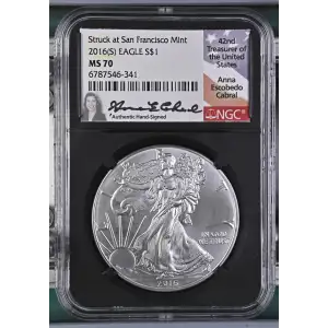 2016(S) Struck at San Francisco M (2)