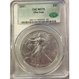 2001 Silver Eagle S$1