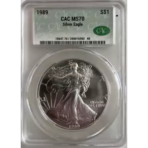 1989 Silver Eagle S$1