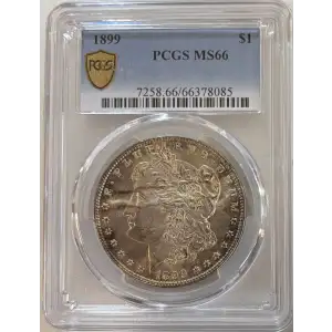 1899 $1 (2)